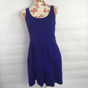 Ann Taylor Indigo blue purple Pocket a line Dress